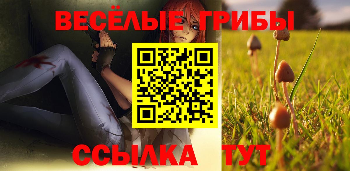Галлюциногенные грибы прущие грибы Ярцево