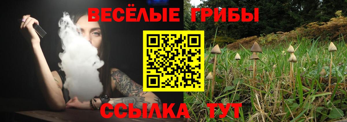 Ярцево  Псилоцибиновые грибы Magic Shrooms  Вход с VPN 